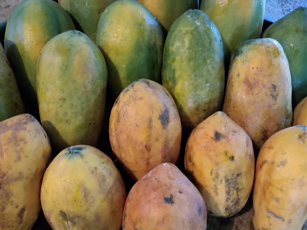 Papaya