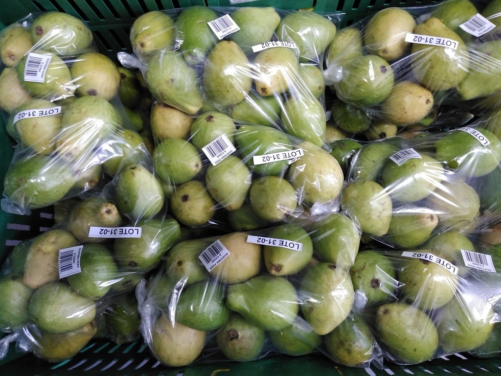 Guayaba pera