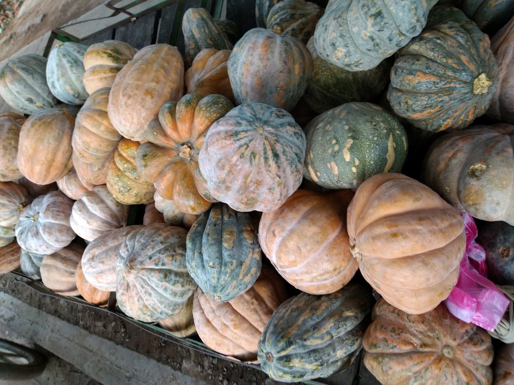 Melón