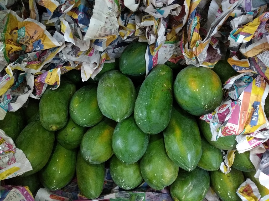 Papaya