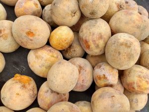 Melón de 3ra