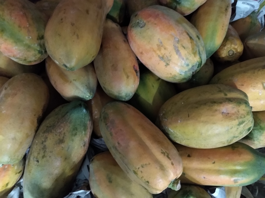 Papaya