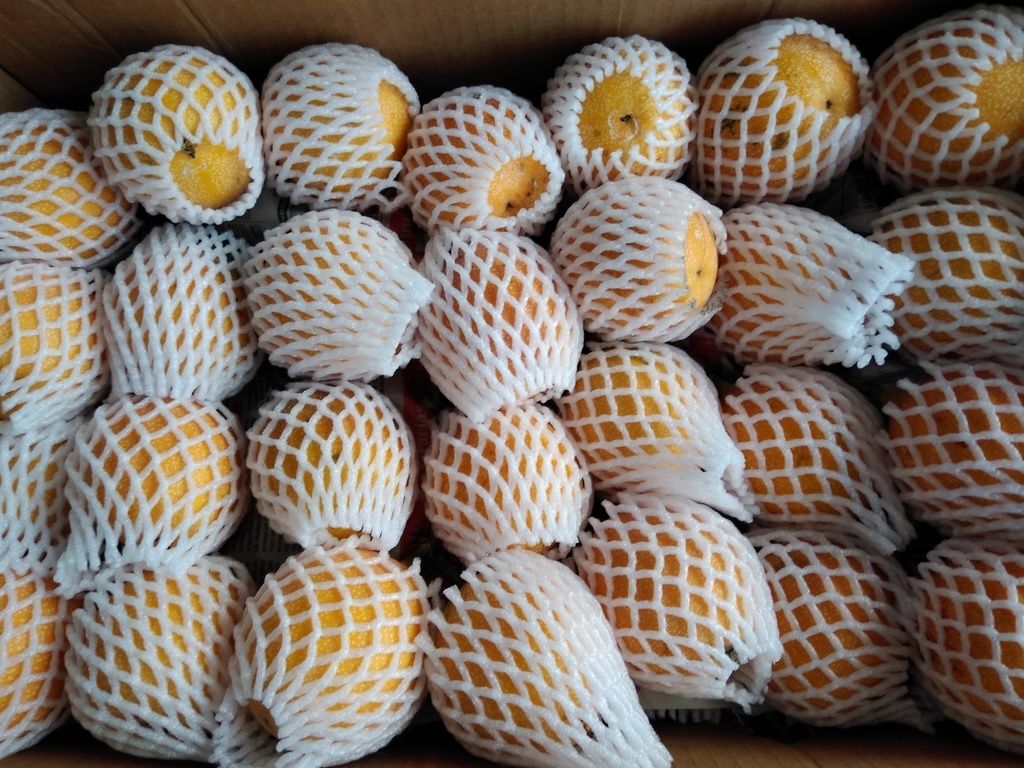 Granadilla