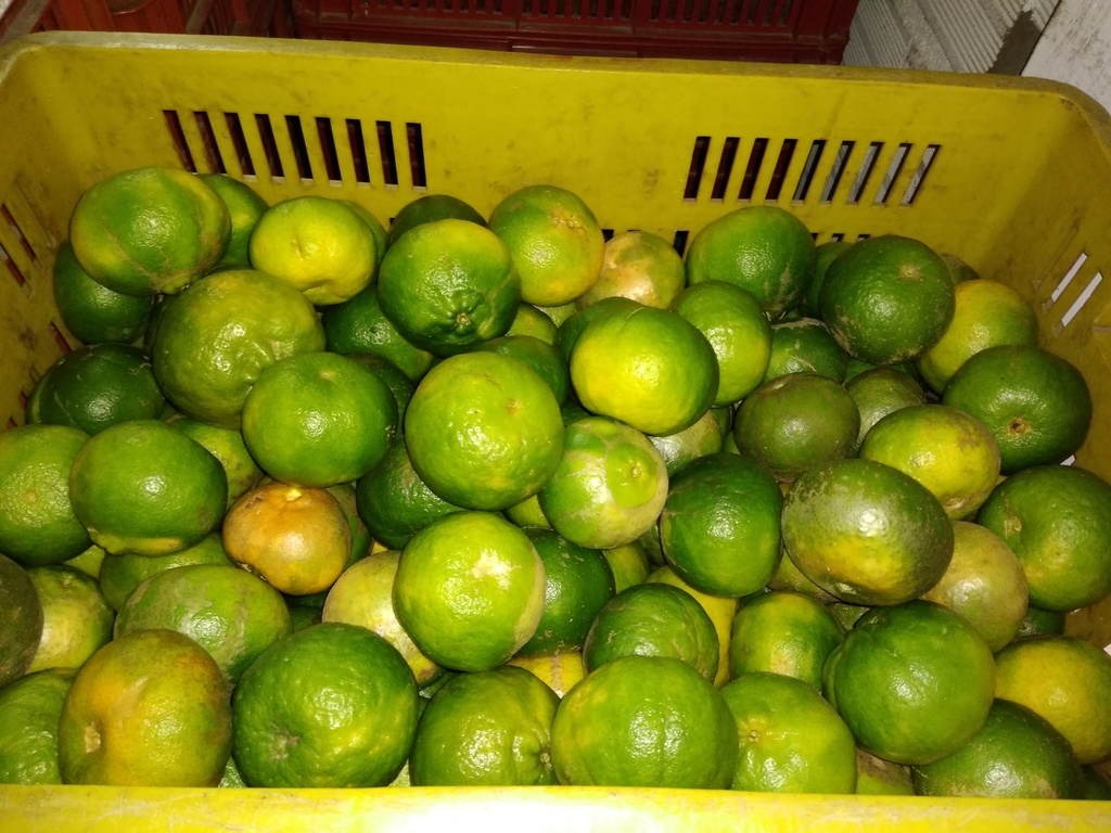 Mandarina