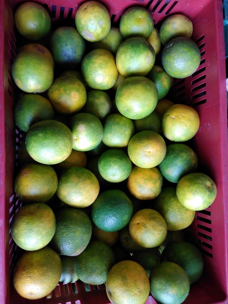 Naranja swiet