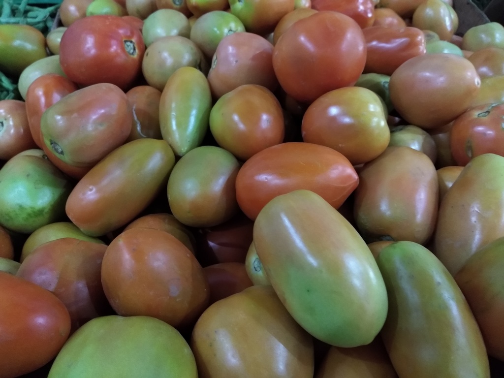 Tomate