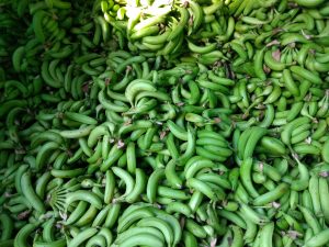 Banano verde