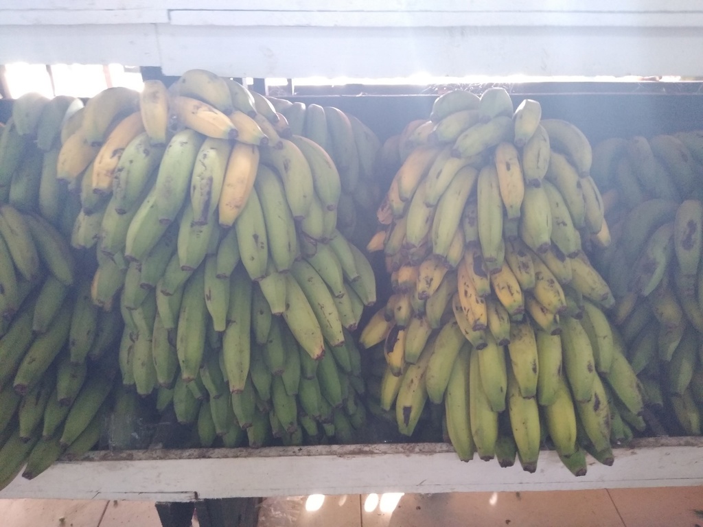 Banano de primera