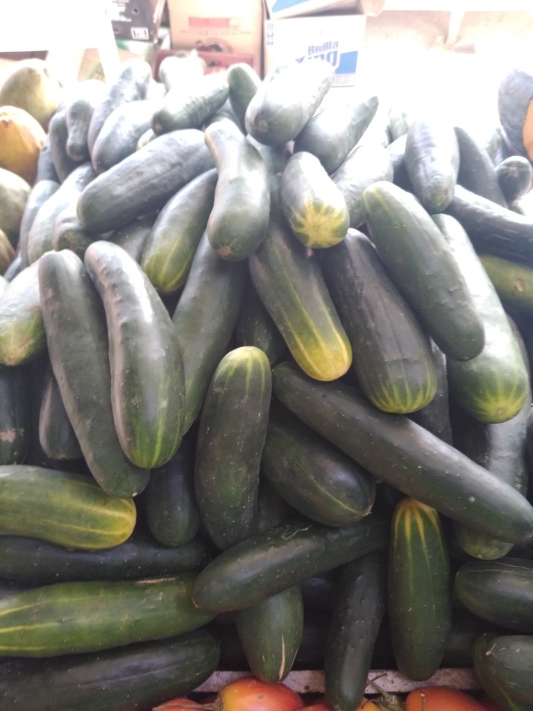 Pepino