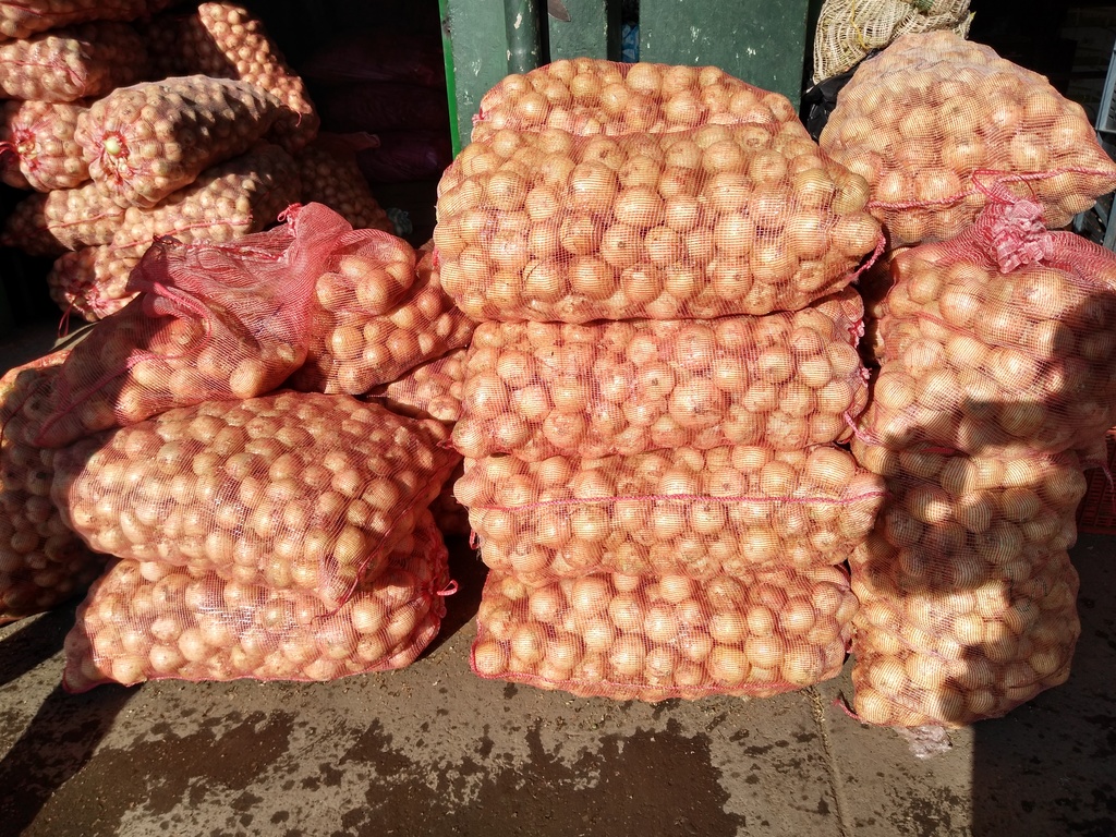 Cebolla huevo blanca