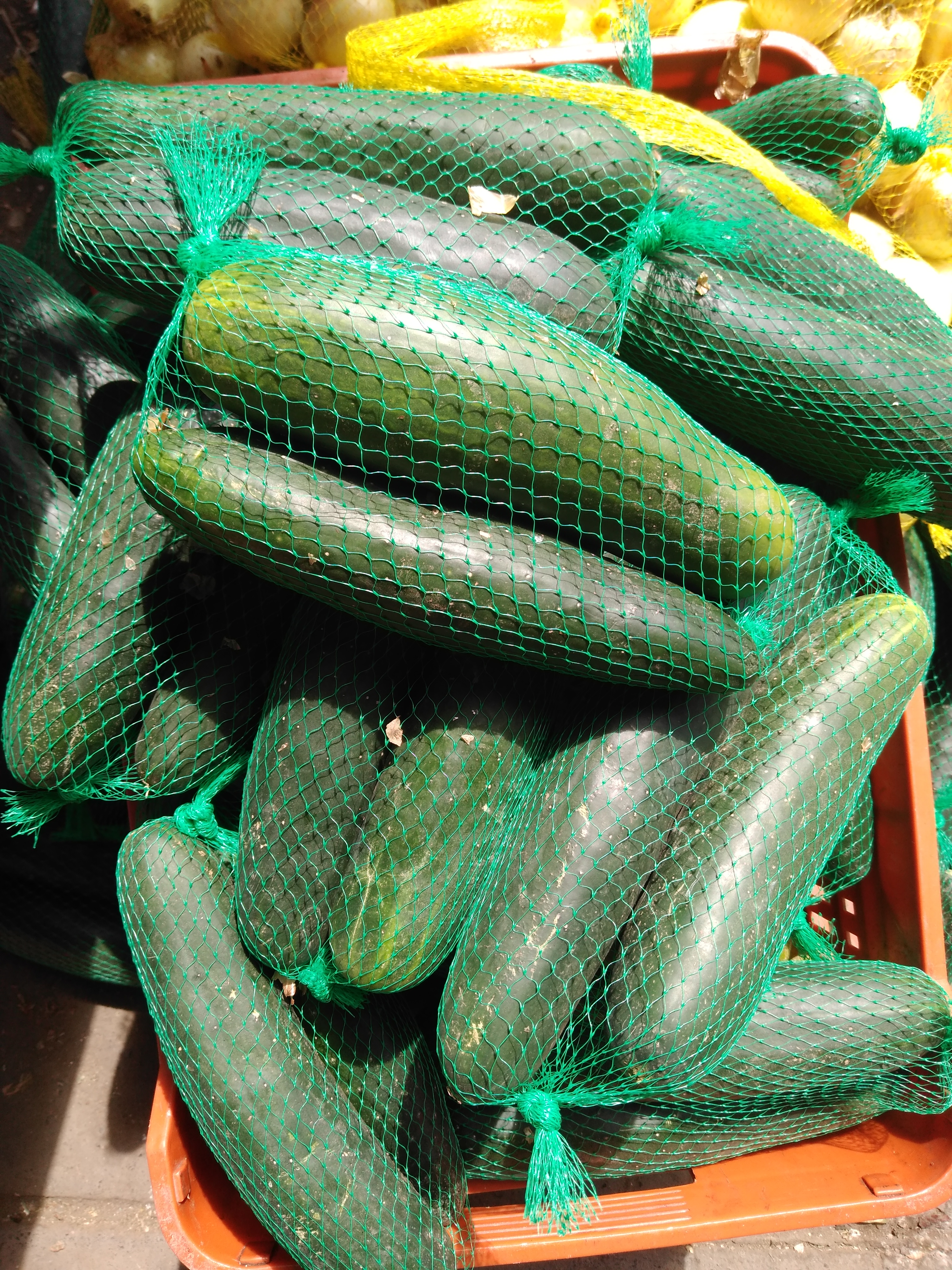 Pepino