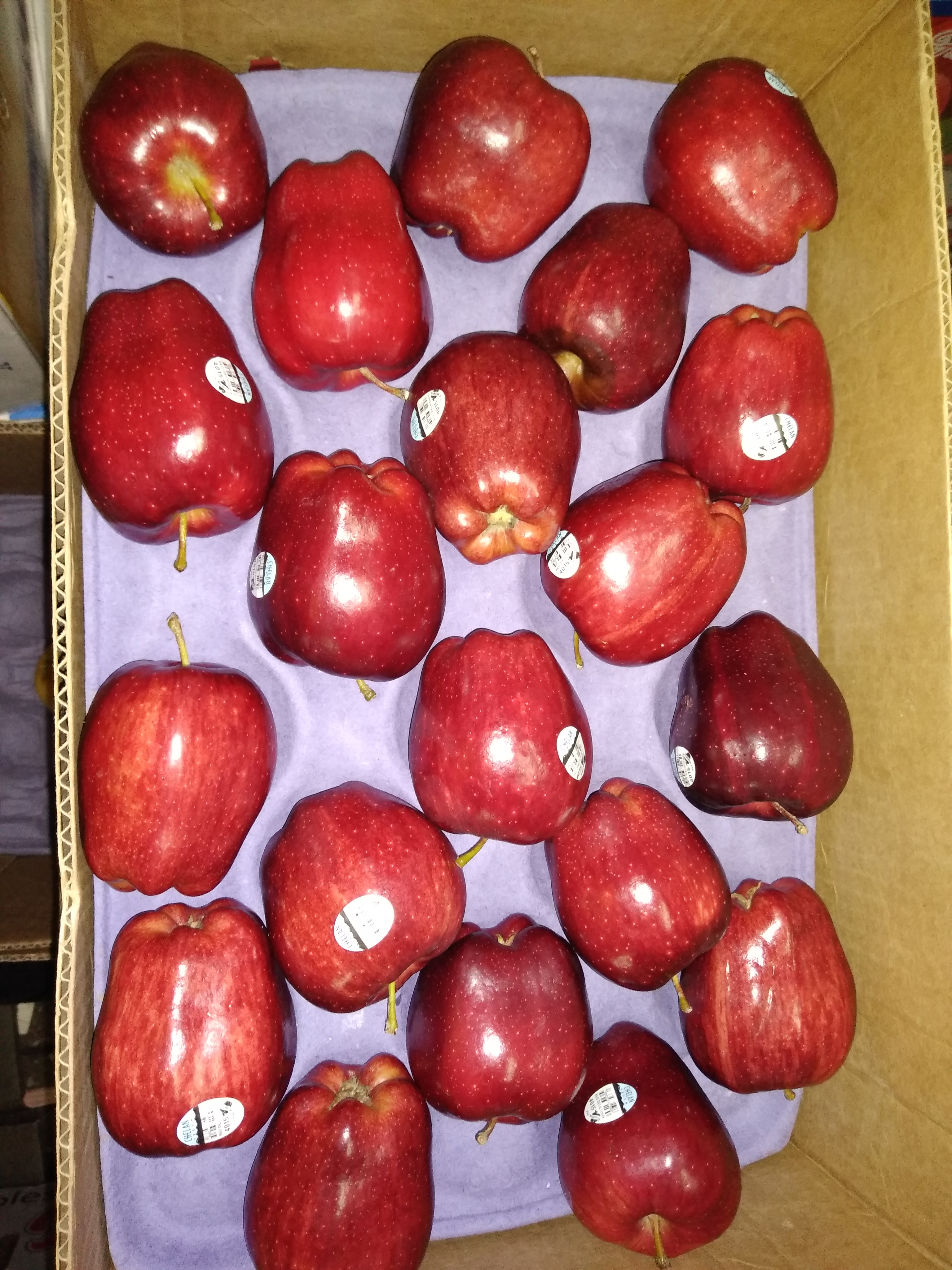 Manzana roja americana