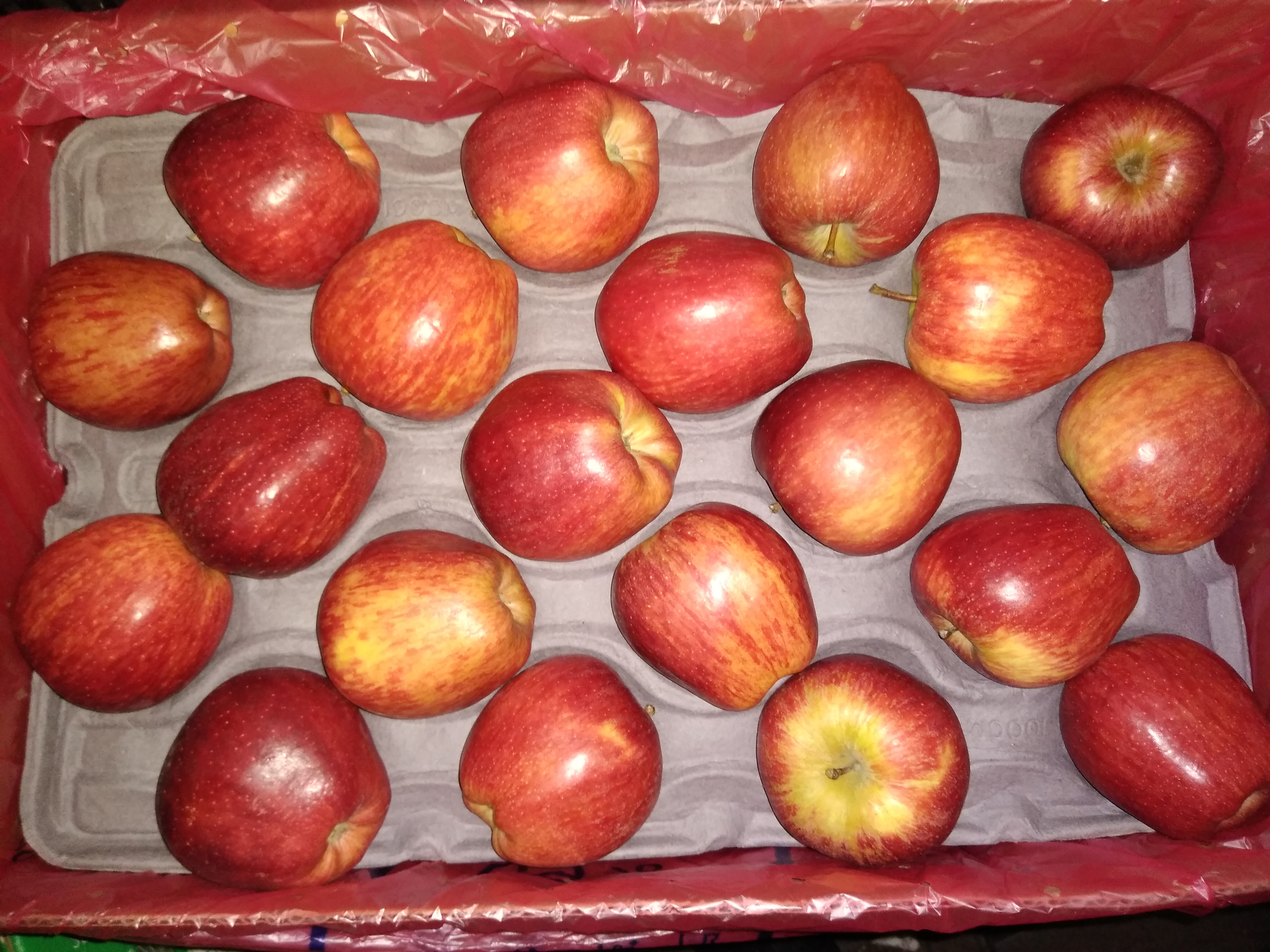 Manzana roja chilena