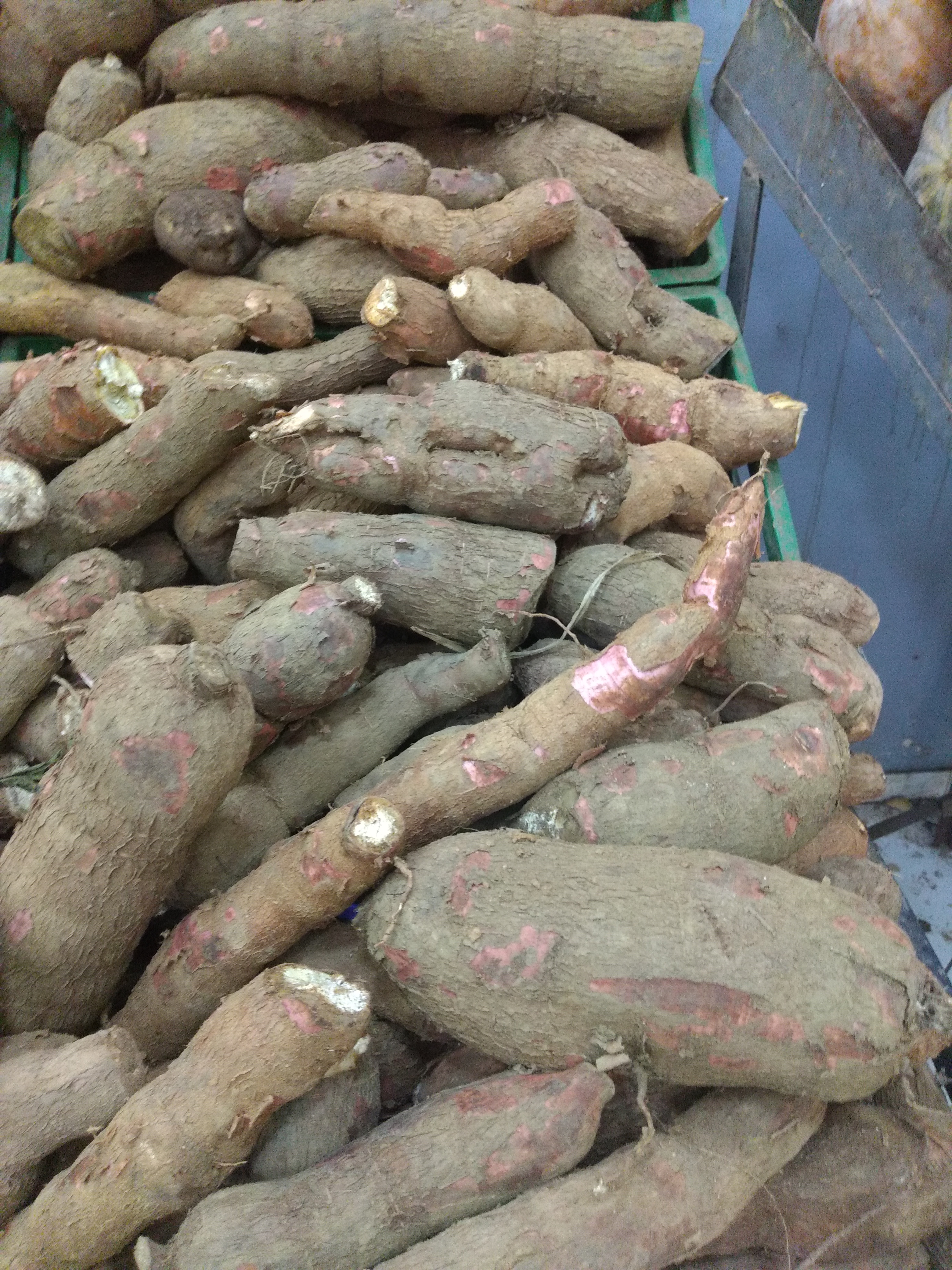 Yuca
