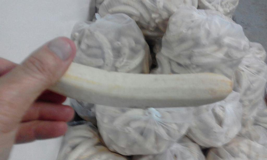 Frutos deshidratados para consumo animal