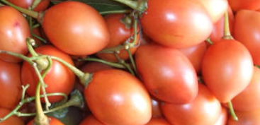 Tomate de arbol