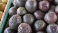 Gulupa