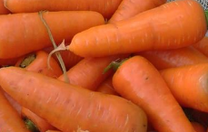 Zanahorias