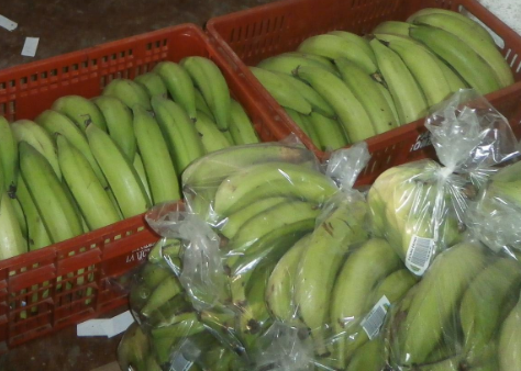 Platano