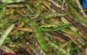Frijol en cáscara