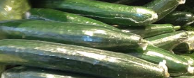 Pepino europeo