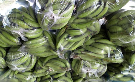 Platano verde