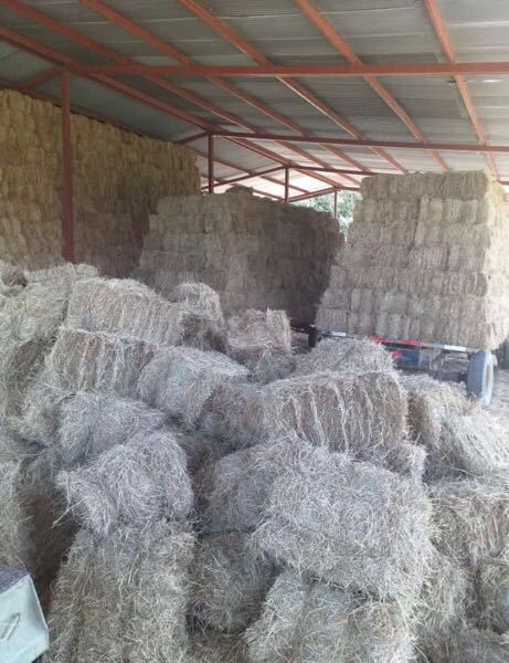 Venta De Heno — foto 1 de 5