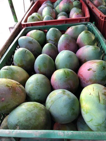 mango
