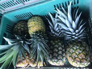 piña oromiel
