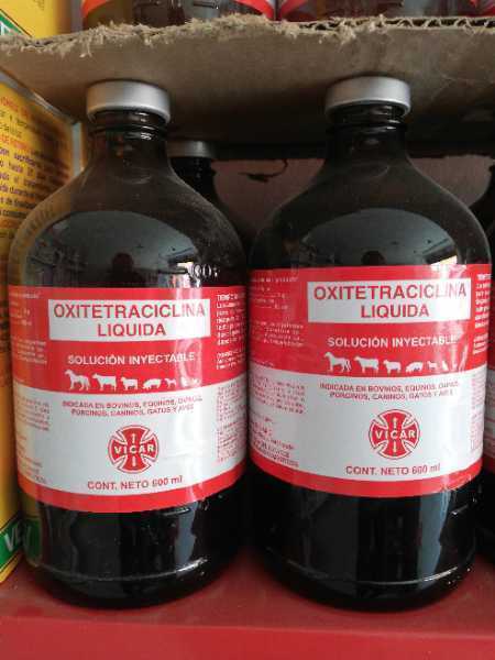 OXITETRACICLINA DE 600 ML
