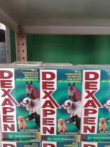 DEXAPEN 20 ML