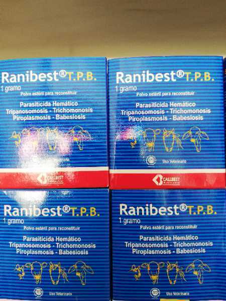 RANIBEST 1GRAMO