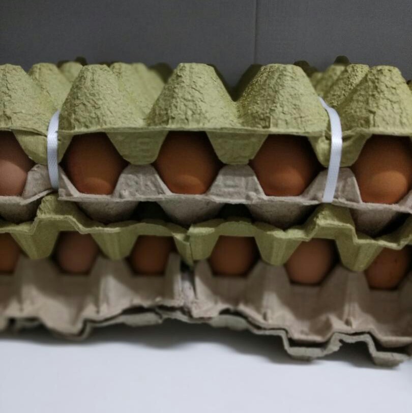 Huevos criollos aa