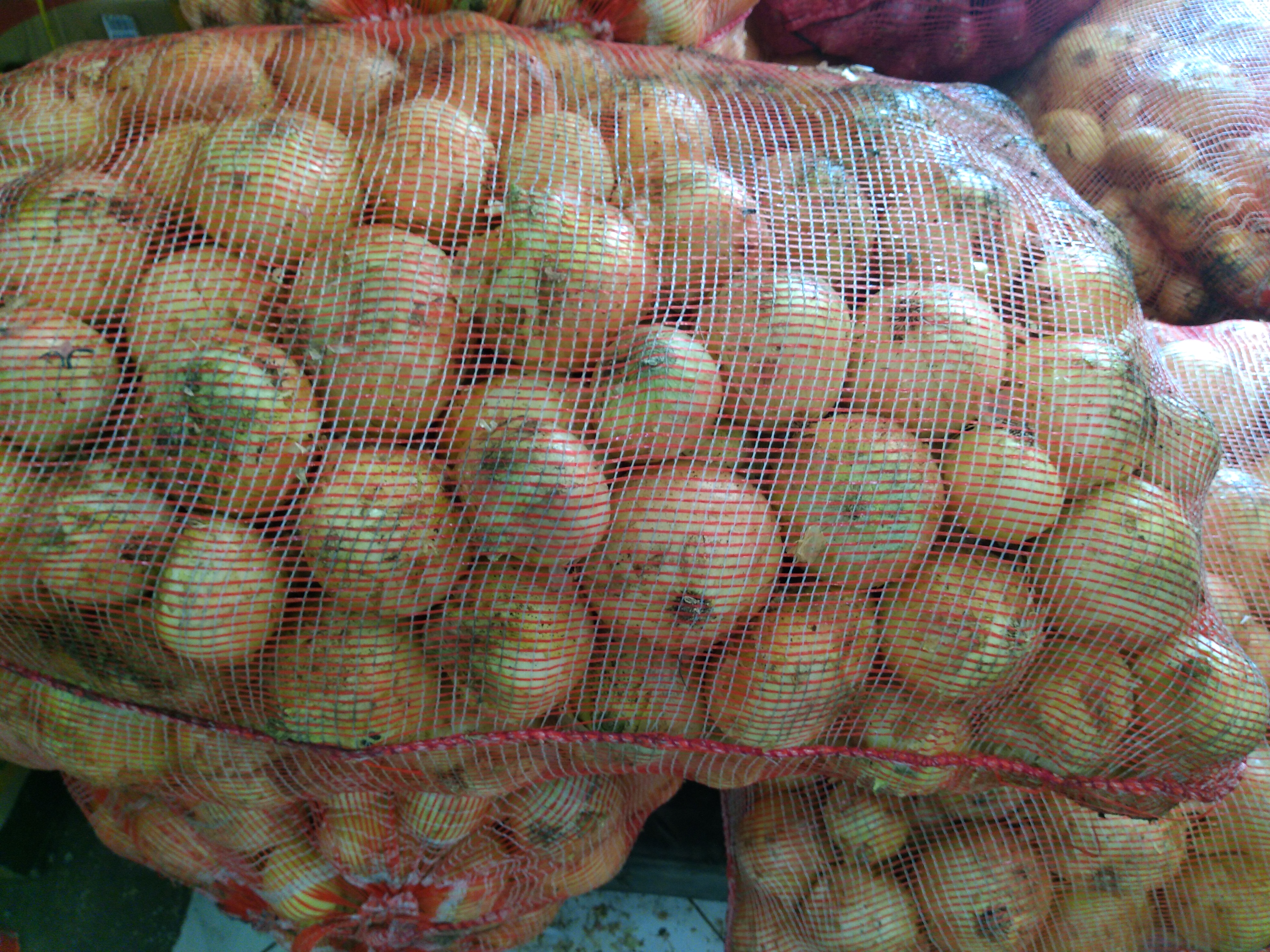 Cebolla blanca sucia