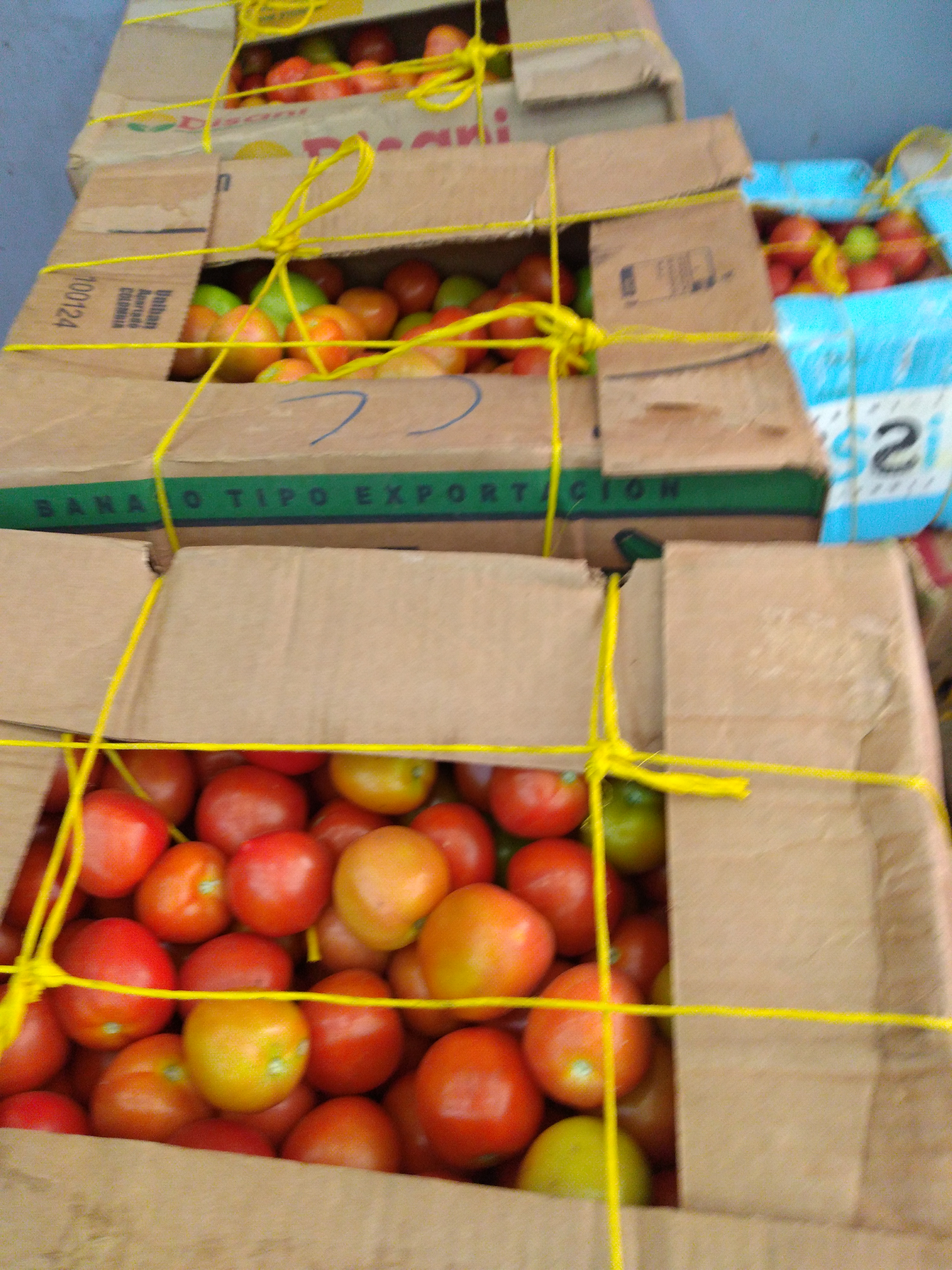 Tomate