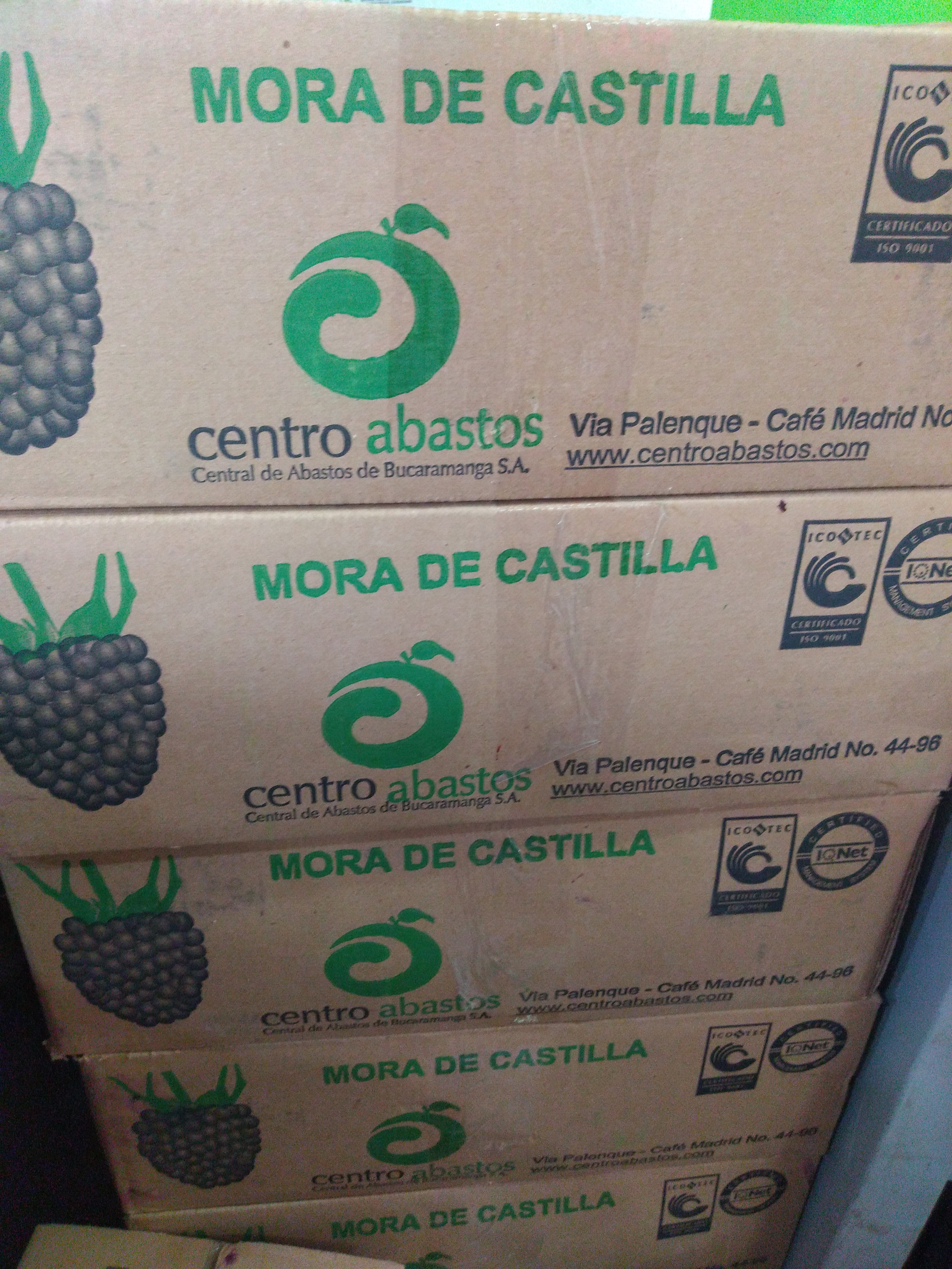 Mora 12onzas