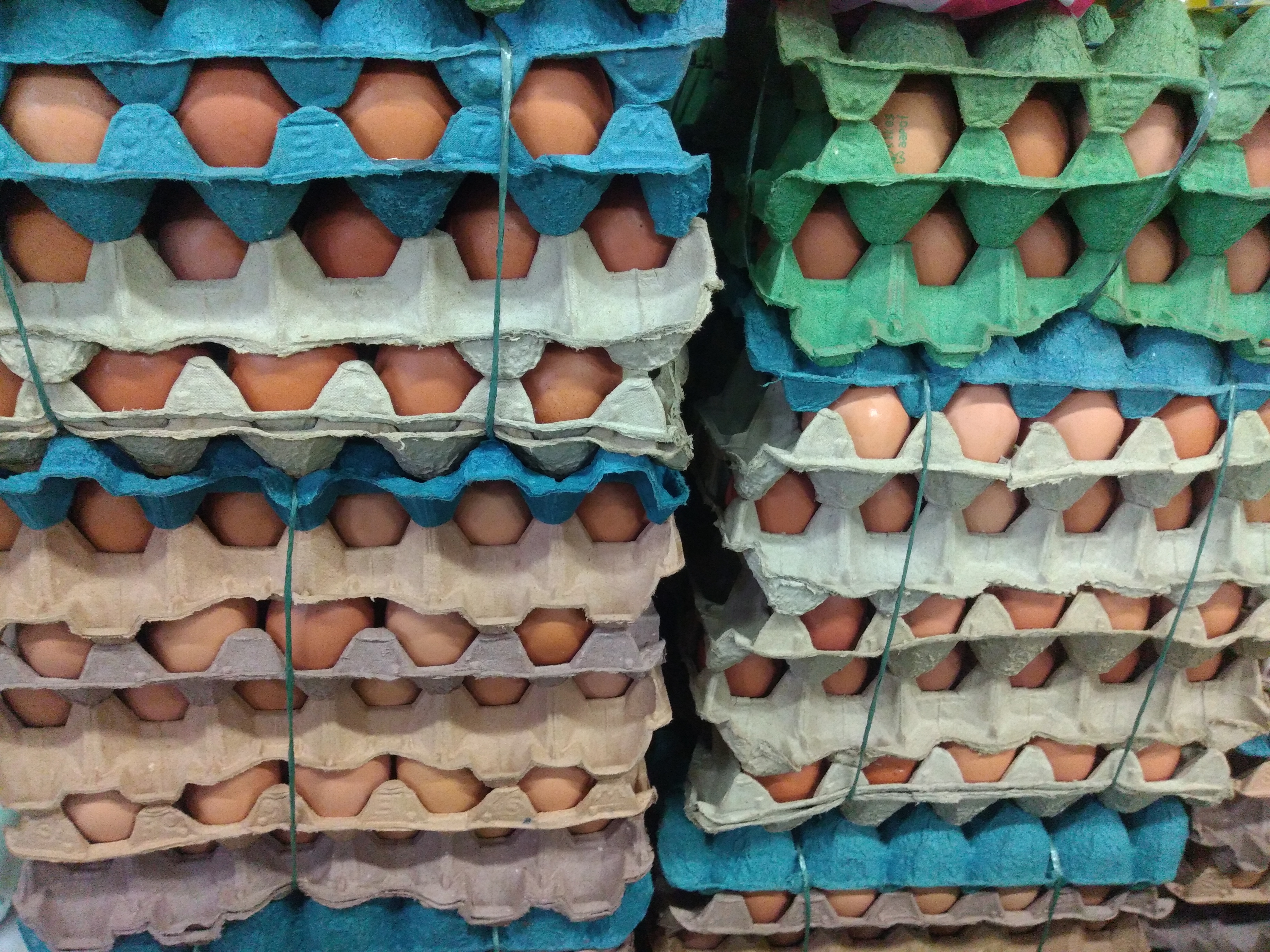 Huevos