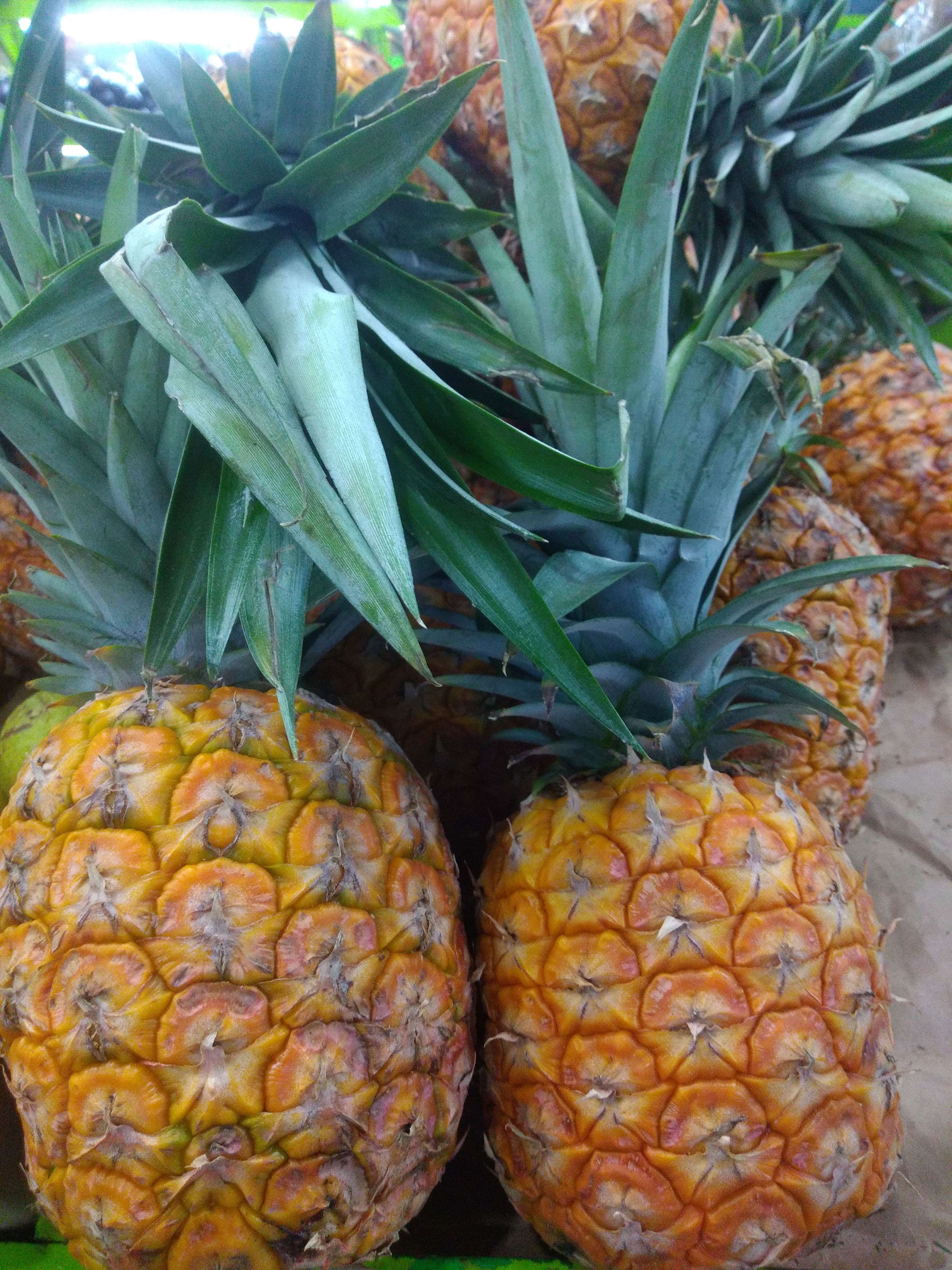 Piña oro miel