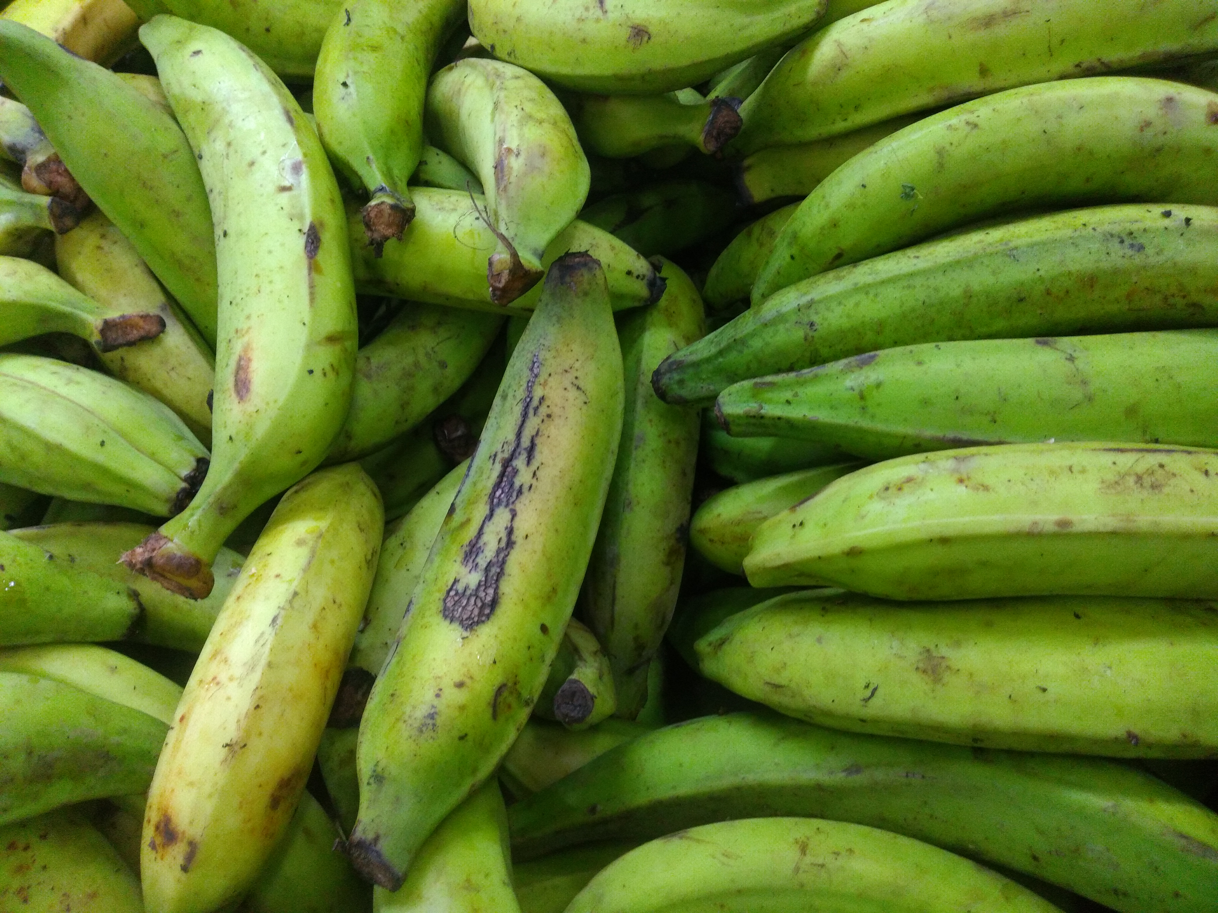 Plátano