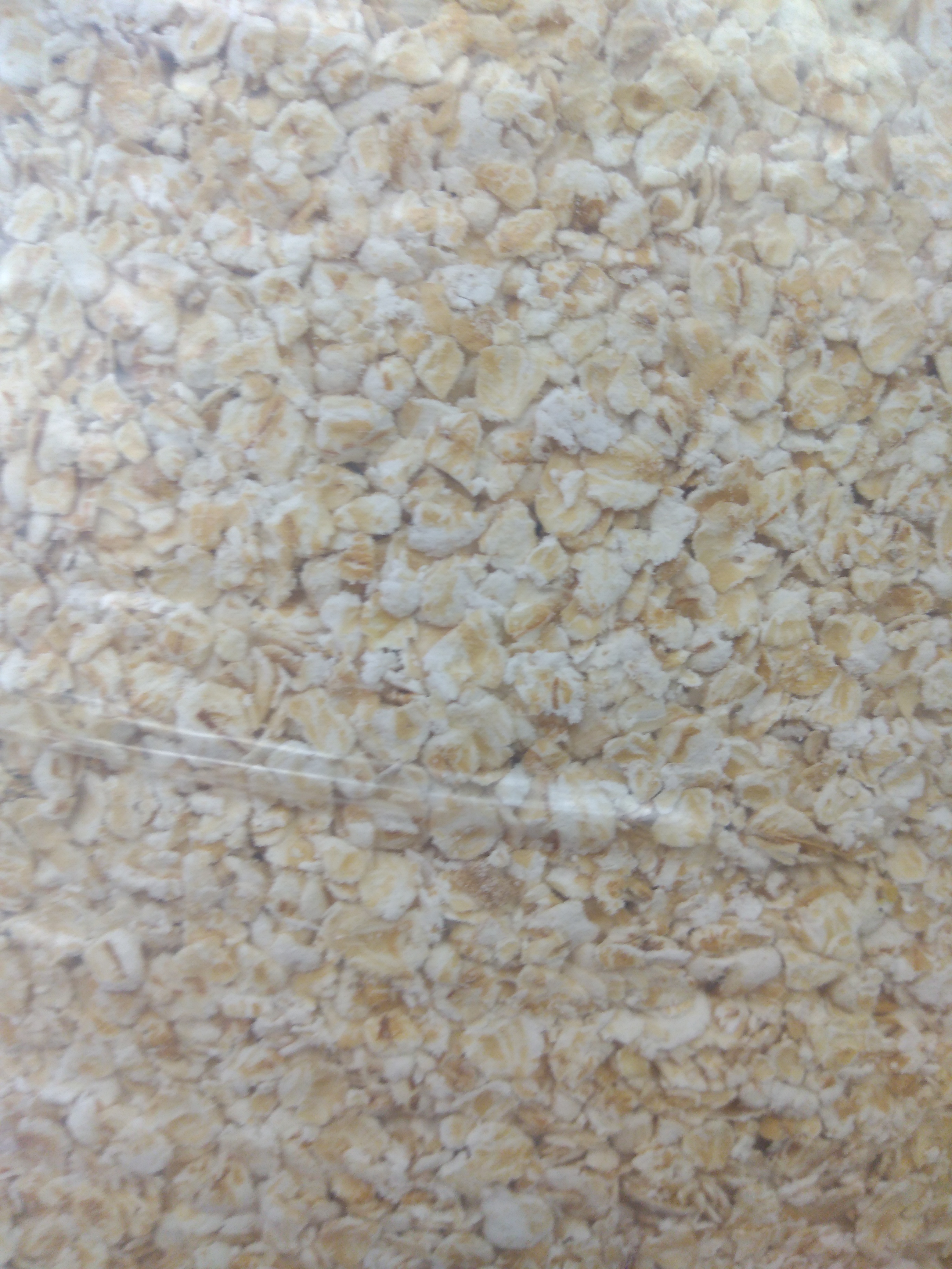 Avena