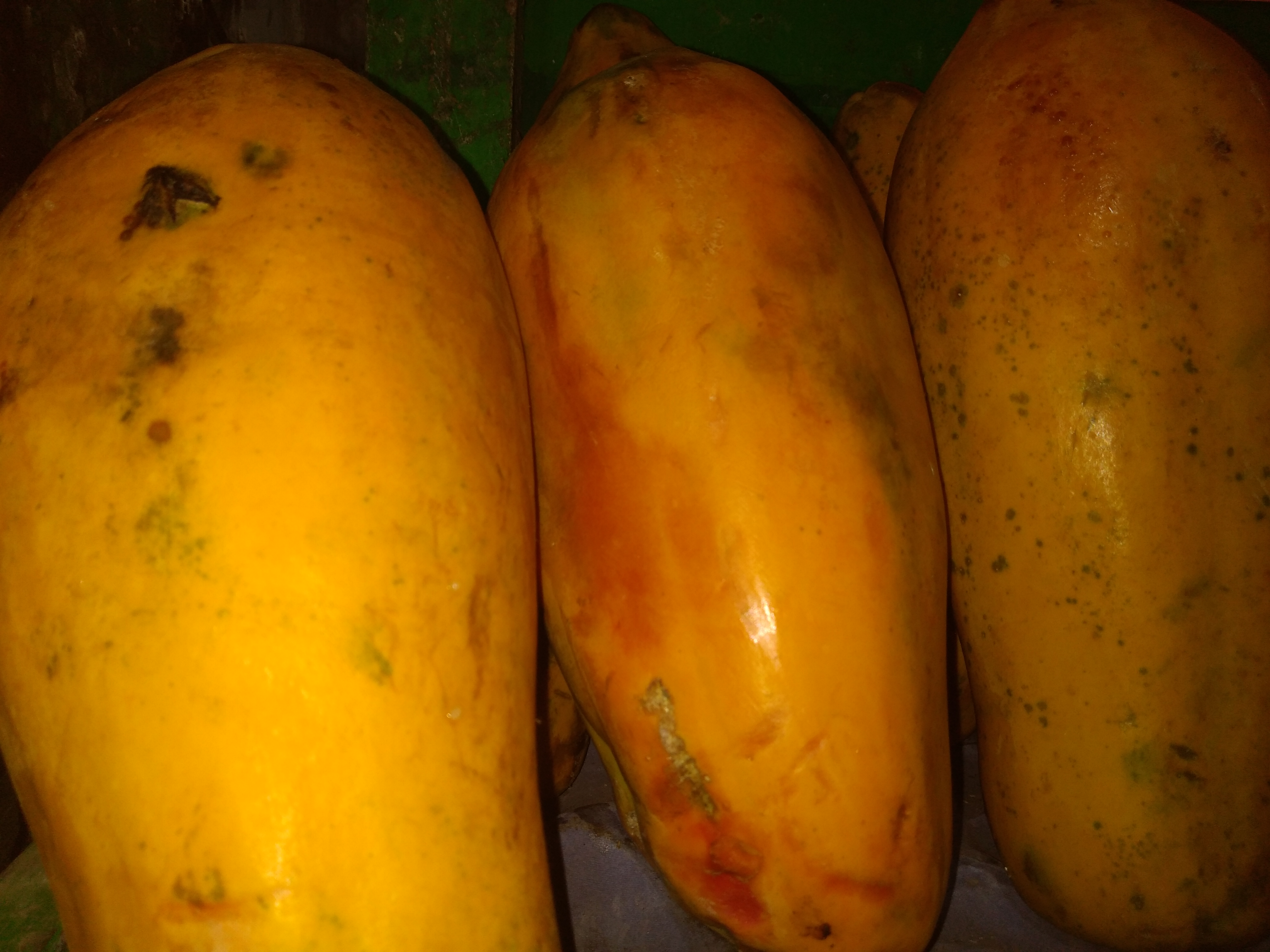 Papaya
