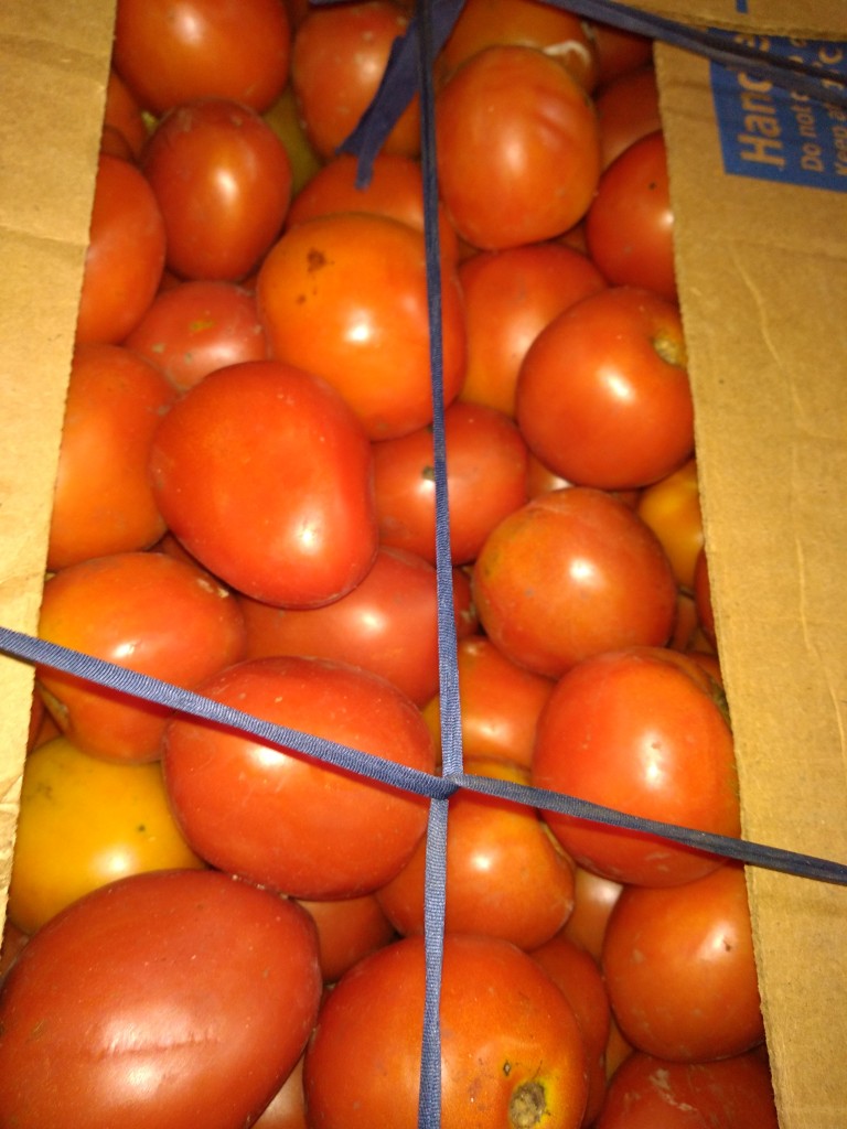 Tomate