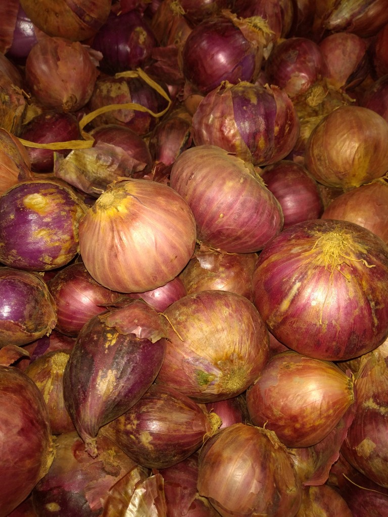 Cebolla