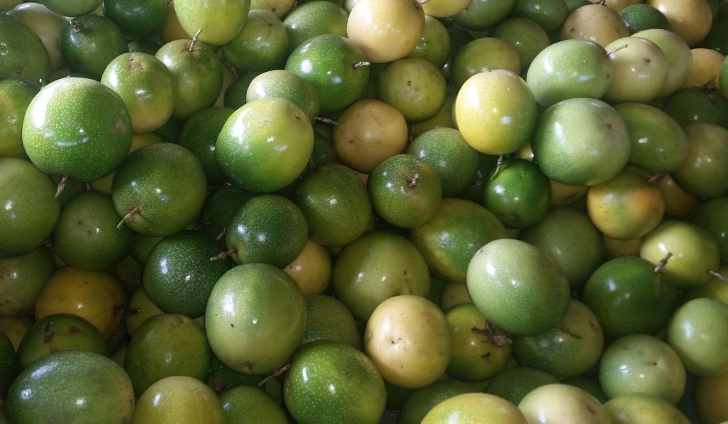 Maracuya