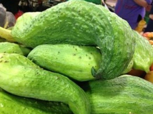 Pepino para guiso