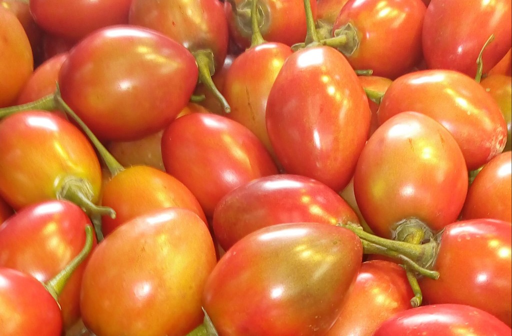 Tomate de arbol