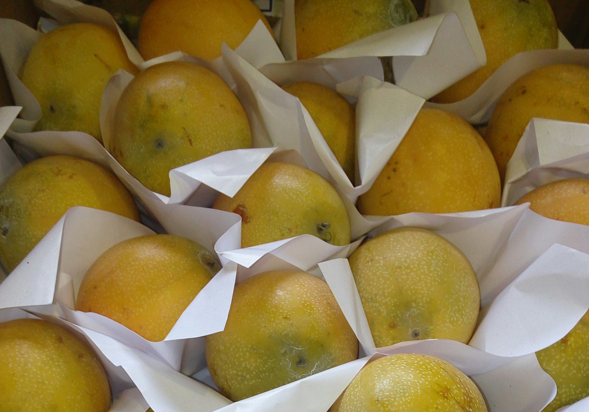 Granadilla
