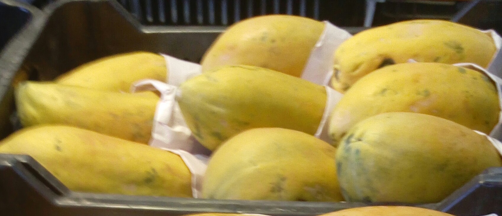 Papaya
