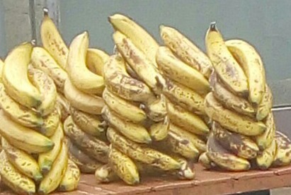 Banano comun