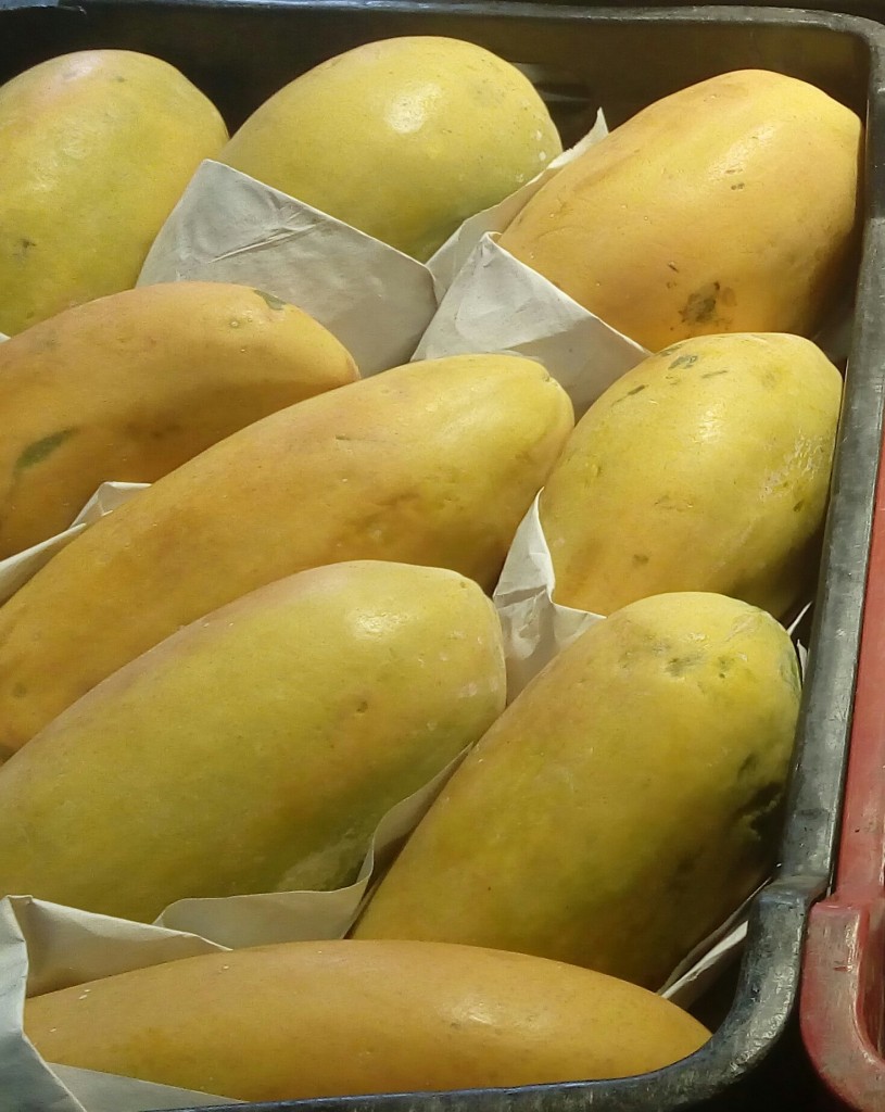 Papaya